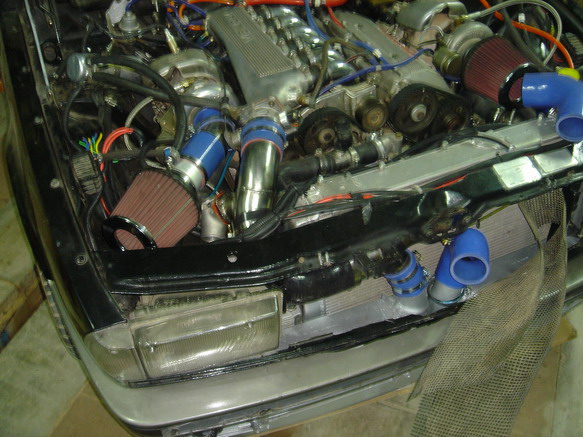 AugustProjectssilicones 004.jpg