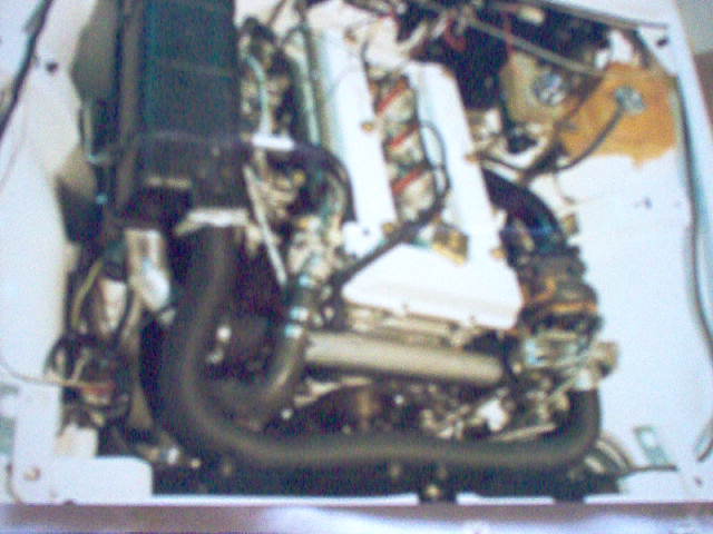 IM000390.JPG