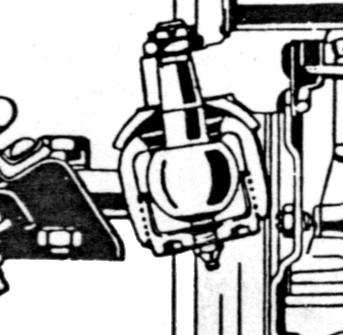 101 Giulia BJ close up.jpg