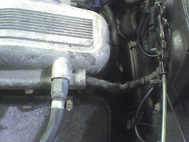 Alfa Main Harnes with 6 injector clips to plen. #12.JPG