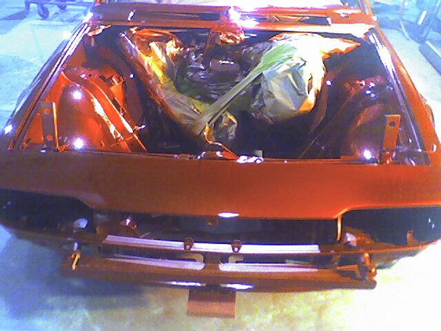 Alfa Painted Front #5.JPG
