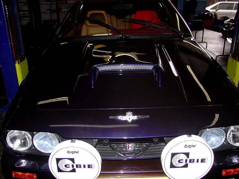 gtv61104.jpg