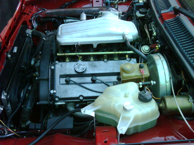 IMG01220-20100626-1552.jpg