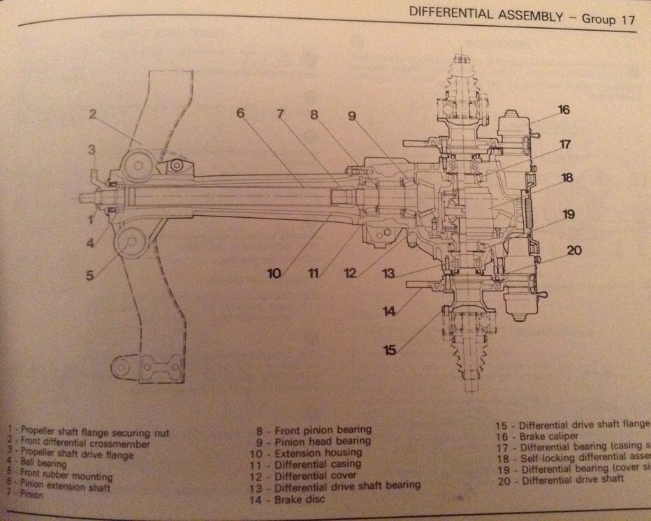 image.jpg