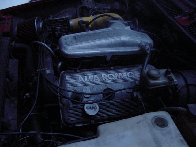 DSC00009_1.JPG