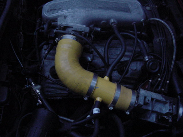 DSC00008_1.JPG